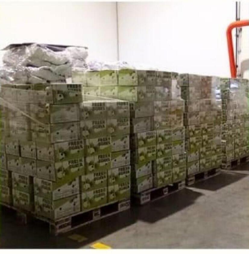 Export-ready pallets