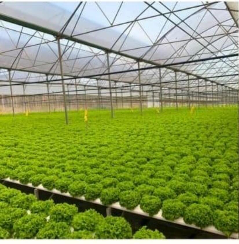 Controlled growing