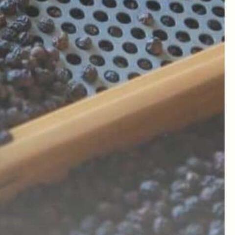 Black pepper